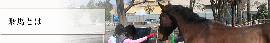 乗馬とは